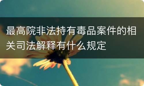 最高院非法持有毒品案件的相关司法解释有什么规定