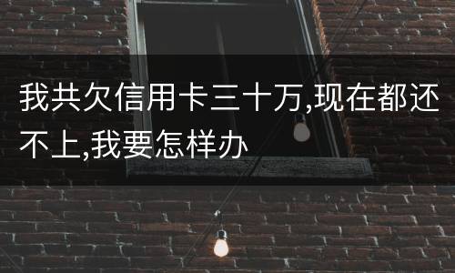 我共欠信用卡三十万,现在都还不上,我要怎样办