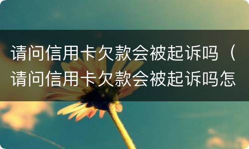 请问信用卡欠款会被起诉吗（请问信用卡欠款会被起诉吗怎么处理）