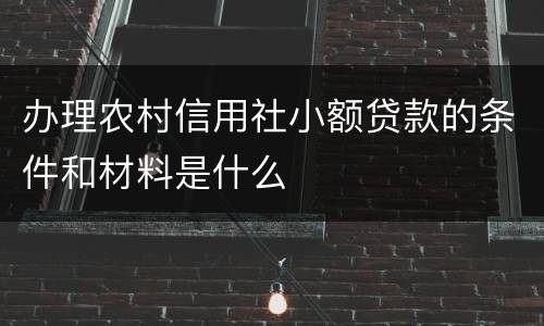 办理农村信用社小额贷款的条件和材料是什么