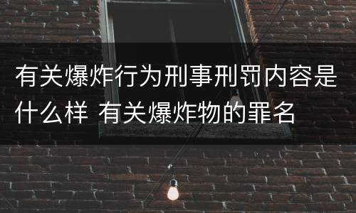 有关爆炸行为刑事刑罚内容是什么样 有关爆炸物的罪名