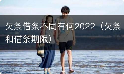 欠条借条不同有何2022（欠条和借条期限）