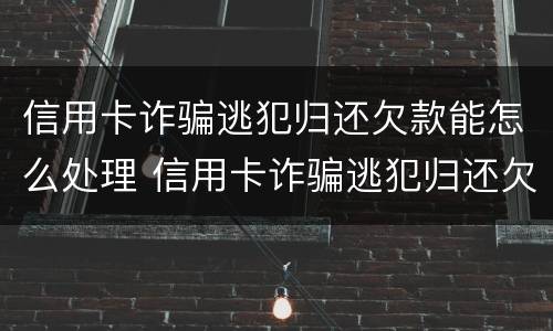 信用卡诈骗逃犯归还欠款能怎么处理 信用卡诈骗逃犯归还欠款能怎么处理吗