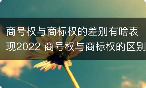 商号权与商标权的差别有啥表现2022 商号权与商标权的区别