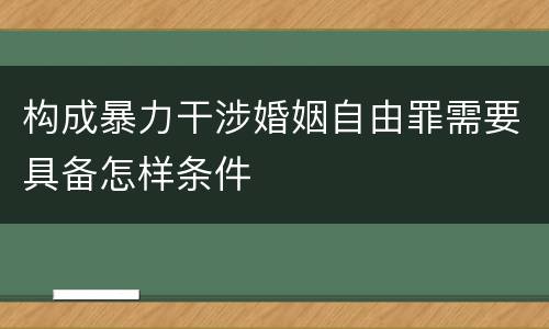 构成暴力干涉婚姻自由罪需要具备怎样条件