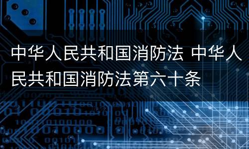 中华人民共和国消防法 中华人民共和国消防法第六十条