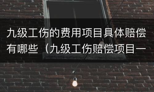 九级工伤的费用项目具体赔偿有哪些（九级工伤赔偿项目一览表）