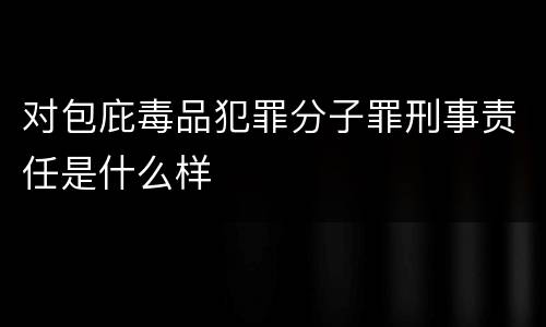 对包庇毒品犯罪分子罪刑事责任是什么样