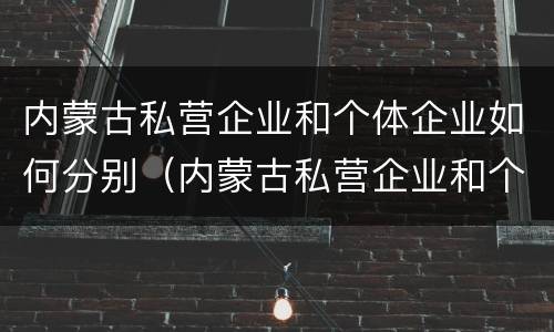 内蒙古私营企业和个体企业如何分别（内蒙古私营企业和个体企业如何分别纳税）