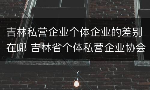 吉林私营企业个体企业的差别在哪 吉林省个体私营企业协会