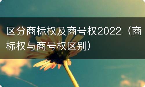 区分商标权及商号权2022（商标权与商号权区别）