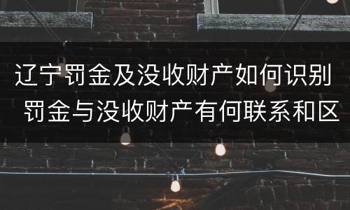 辽宁罚金及没收财产如何识别 罚金与没收财产有何联系和区别?