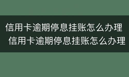 信用卡逾期停息挂账怎么办理 信用卡逾期停息挂账怎么办理只有36期