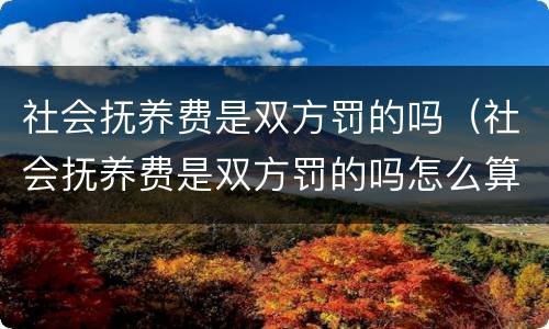 社会抚养费是双方罚的吗（社会抚养费是双方罚的吗怎么算）