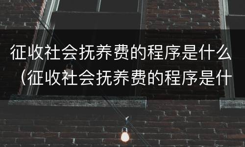 征收社会抚养费的程序是什么（征收社会抚养费的程序是什么样的）