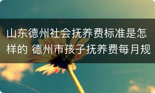 山东德州社会抚养费标准是怎样的 德州市孩子抚养费每月规定多少