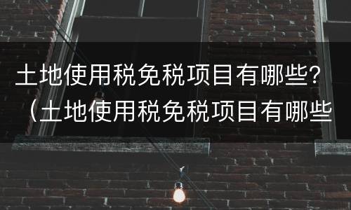 土地使用税免税项目有哪些？（土地使用税免税项目有哪些项目）