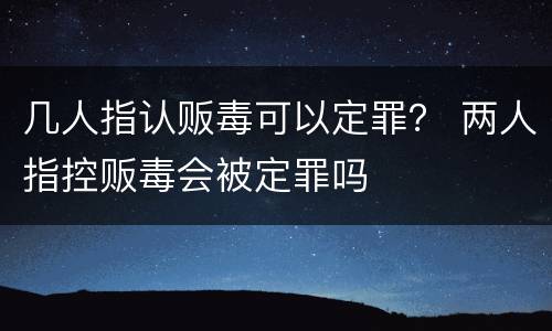 几人指认贩毒可以定罪？ 两人指控贩毒会被定罪吗