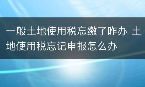 一般土地使用税忘缴了咋办 土地使用税忘记申报怎么办