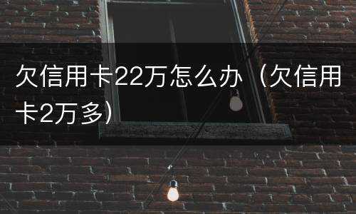 欠信用卡22万怎么办（欠信用卡2万多）