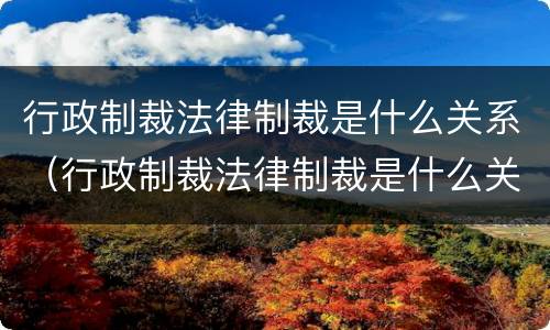 行政制裁法律制裁是什么关系（行政制裁法律制裁是什么关系的）