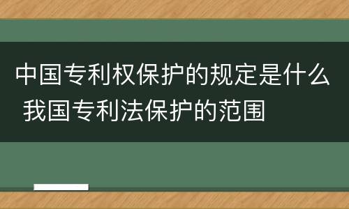 中国专利权保护的规定是什么 我国专利法保护的范围