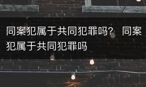 同案犯属于共同犯罪吗？ 同案犯属于共同犯罪吗