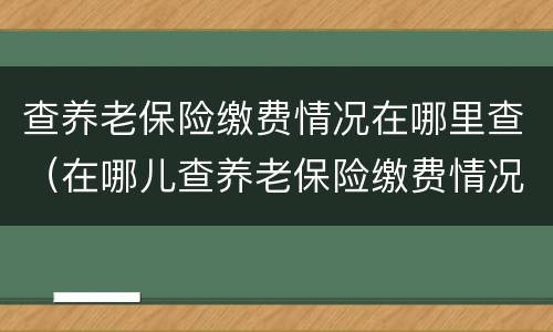 查养老保险缴费情况在哪里查（在哪儿查养老保险缴费情况）