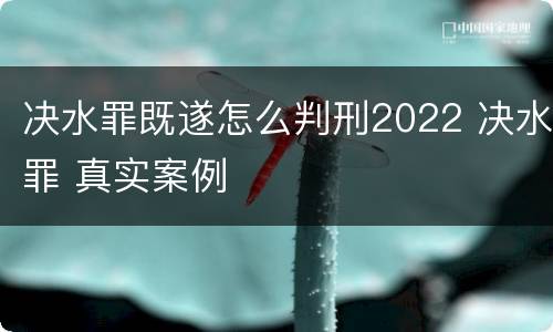 决水罪既遂怎么判刑2022 决水罪 真实案例