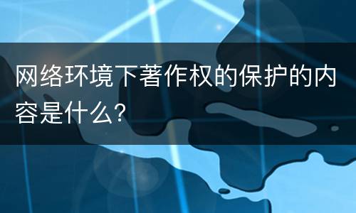 网络环境下著作权的保护的内容是什么？