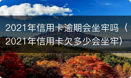 2021年信用卡逾期会坐牢吗（2021年信用卡欠多少会坐牢）