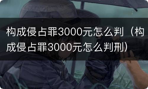 构成侵占罪3000元怎么判（构成侵占罪3000元怎么判刑）