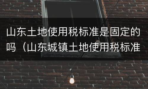 山东土地使用税标准是固定的吗（山东城镇土地使用税标准）