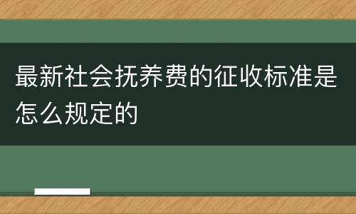 最新社会抚养费的征收标准是怎么规定的