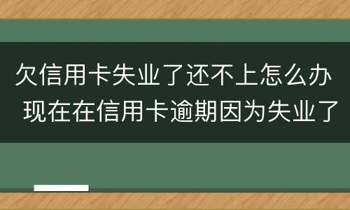 欠信用卡失业了还不上怎么办 现在在信用卡逾期因为失业了怎么办