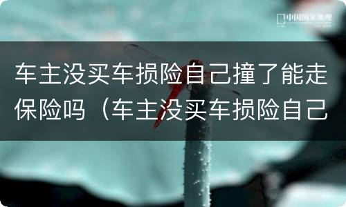 车主没买车损险自己撞了能走保险吗（车主没买车损险自己撞了能走保险吗多少钱）