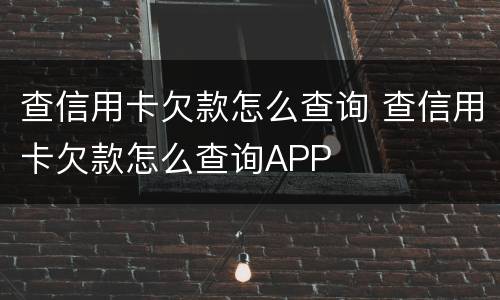 查信用卡欠款怎么查询 查信用卡欠款怎么查询APP