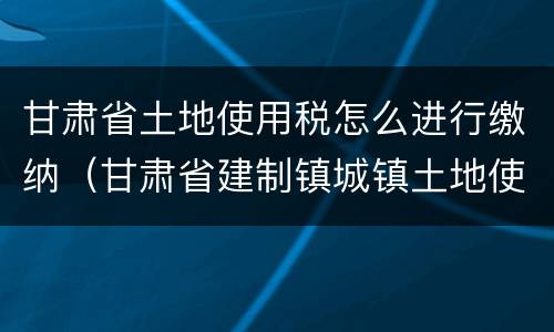 甘肃省土地使用税怎么进行缴纳（甘肃省建制镇城镇土地使用税）