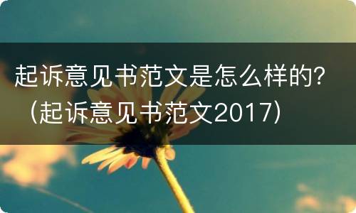 起诉意见书范文是怎么样的？（起诉意见书范文2017）