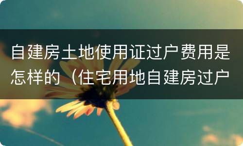 自建房土地使用证过户费用是怎样的（住宅用地自建房过户费用多少）