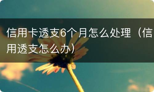 信用卡透支6个月怎么处理（信用透支怎么办）