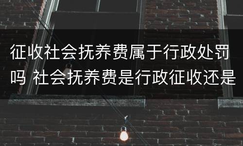 征收社会抚养费属于行政处罚吗 社会抚养费是行政征收还是行政处罚