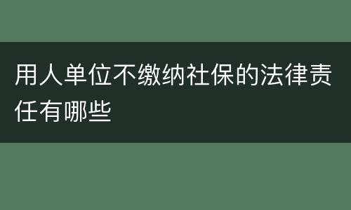 用人单位不缴纳社保的法律责任有哪些