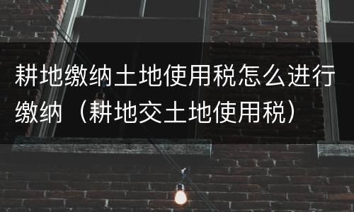 耕地缴纳土地使用税怎么进行缴纳（耕地交土地使用税）