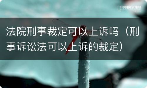 法院刑事裁定可以上诉吗（刑事诉讼法可以上诉的裁定）