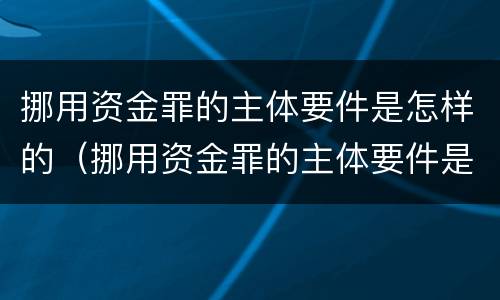 挪用资金罪的主体要件是怎样的（挪用资金罪的主体要件是怎样的）