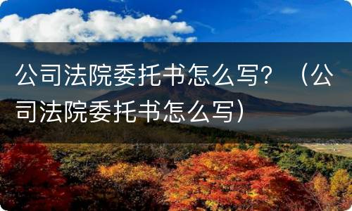 公司法院委托书怎么写？（公司法院委托书怎么写）