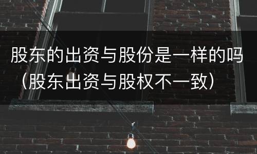 股东的出资与股份是一样的吗（股东出资与股权不一致）