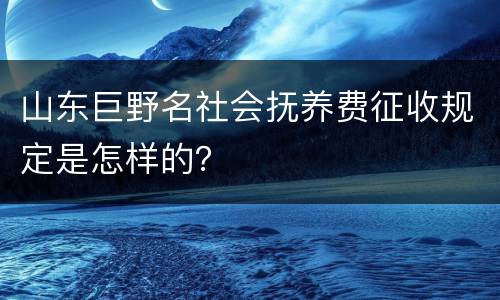 山东巨野名社会抚养费征收规定是怎样的？