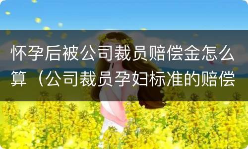 怀孕后被公司裁员赔偿金怎么算（公司裁员孕妇标准的赔偿该怎么赔偿）